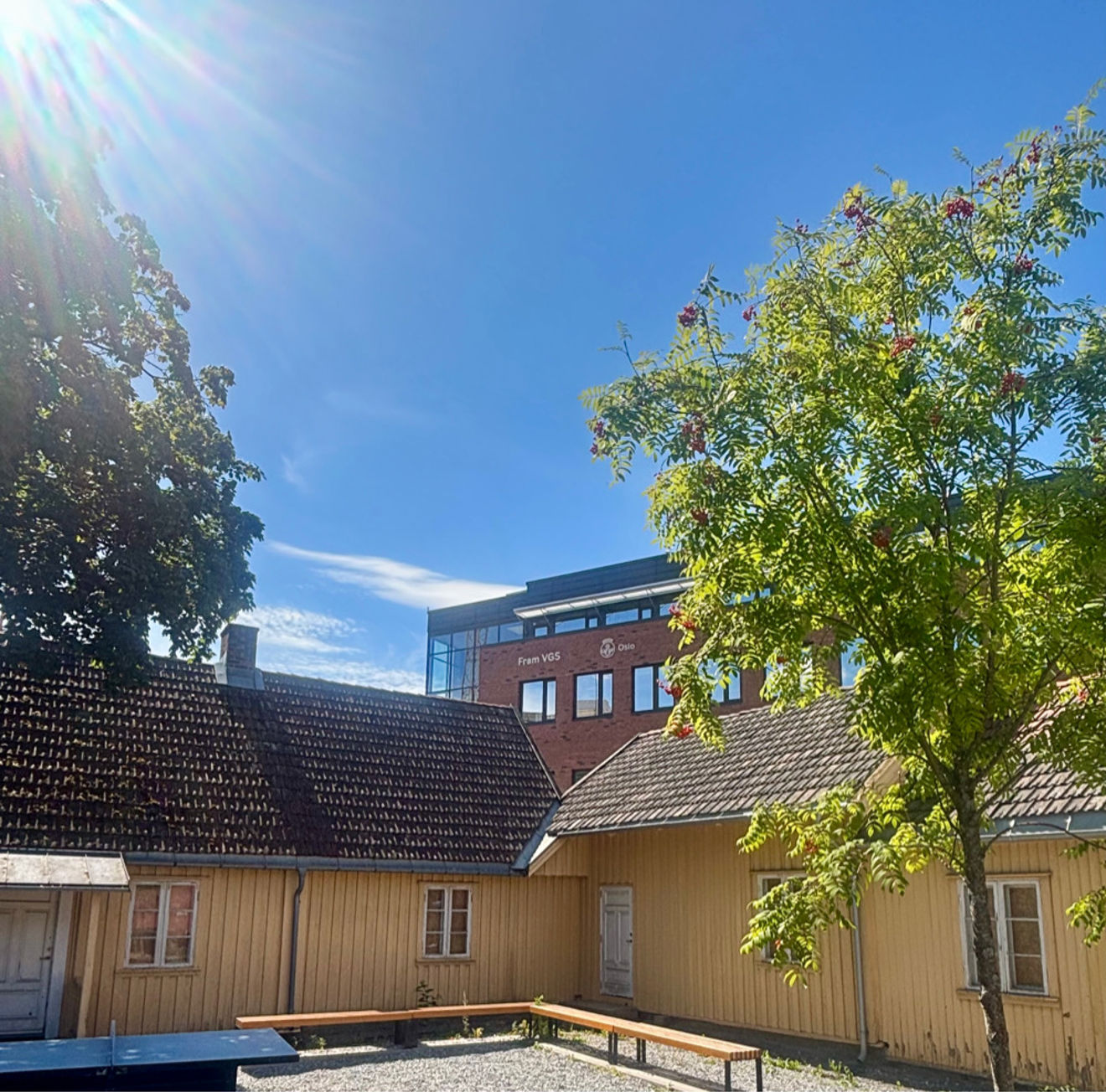 en gruppe hus med trær bak